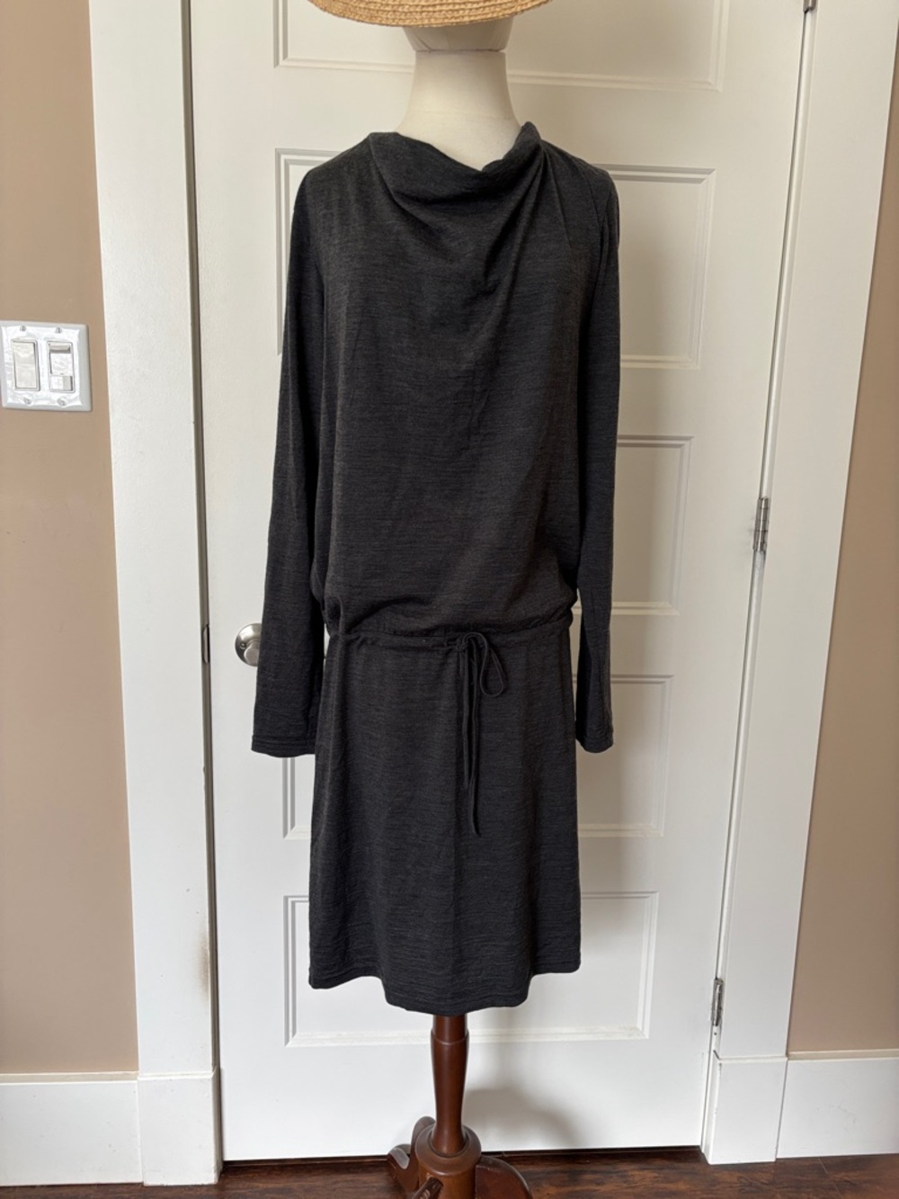 Icebreaker Dress